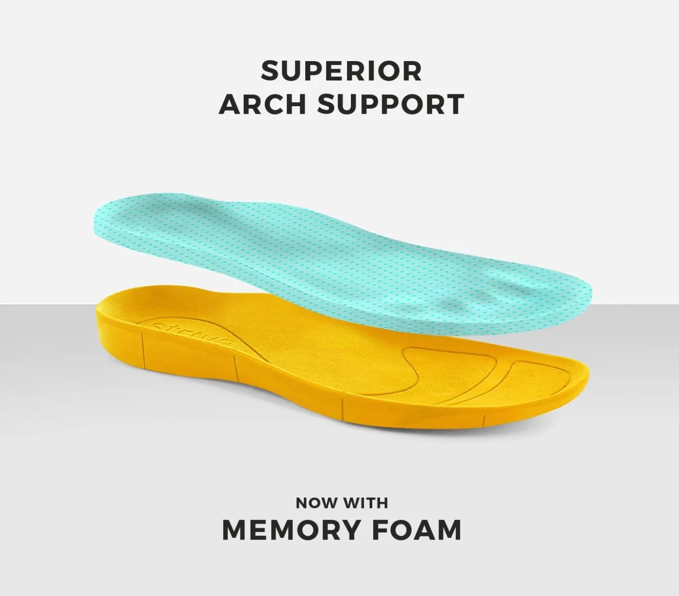 STRIVE VIENAPK - Slipper